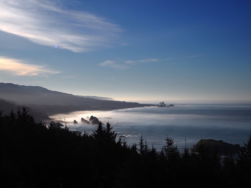 Looking south from the Cape Sebastian Viewpoint