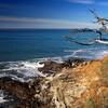 Where the bedrock of Cape Sebastian is exposed to the sea