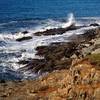 Wave action at Cape Sebastian