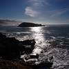 Hunters Island from Cape Sebastian