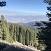 a view while hiking down Wagner Glade Trail