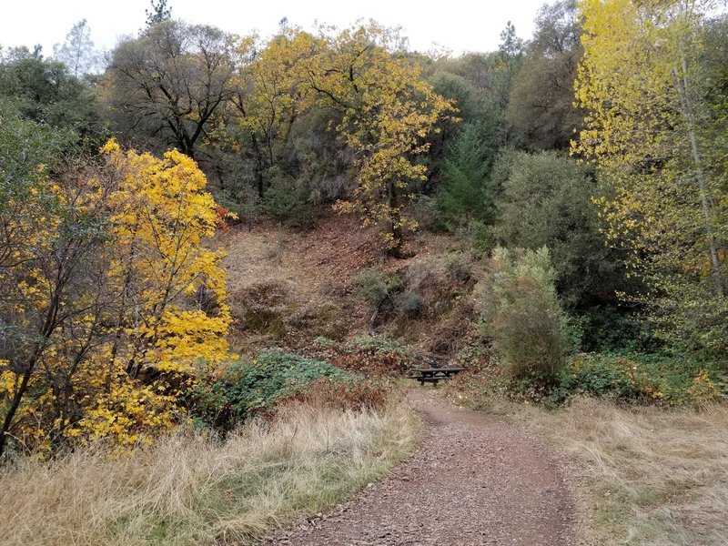 Picnic bench at a creek crossing on the Stagecoach Trail.