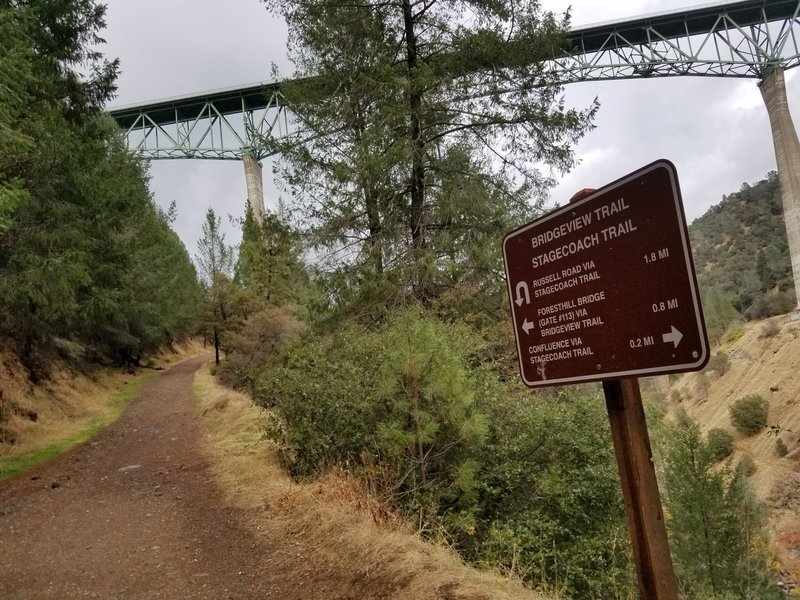 Signed trail junction with a nice bottom up view of the bridge.