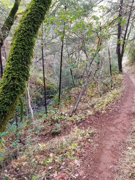 Tinker's Cutoff is short, sweet and steep.