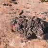 A super-size "Moqui Marble," formed when water deep inside the Navajo Sandstone concentrated the iron oxide (which makes the sandstone red) into harder Hematite (iron ore). Little ones are everywhere on this route.