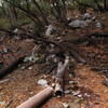 Pipes previosly used to divert water from Twin Springs.