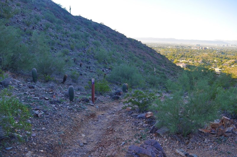 From the junction at the pass, the 202 Mohave Connector heads down the valley.