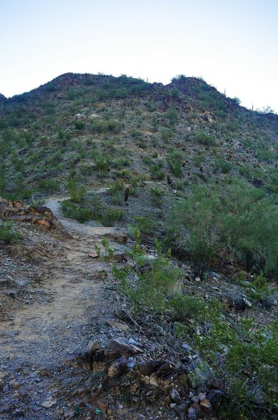 From the pass, the preferred route is up the switchbacks to the east, to a spectacular summit.