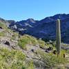 From the junction of 202 and 8A, look up the valley to the north.  At the ridge top on the left you meet trail 8B again.