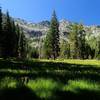 One of the meadows on the way to Hogan Lake.