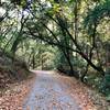 Beautiful wide trail to enjoy with friends and family.