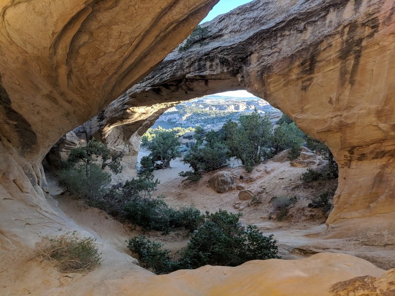 Moonshine Arch