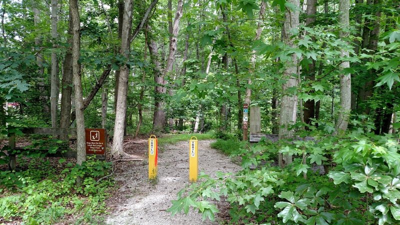 Meadowood Trailhead, 10324 Belmont Blvd., Lorton.