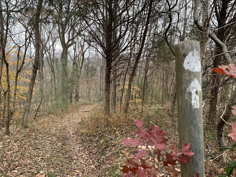 Trail markers, distinguishable solid trail, pretty late fall colors