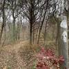 Trail markers, distinguishable solid trail, pretty late fall colors