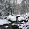 Cascade along Bassett Brook