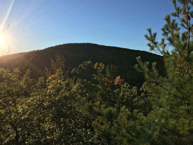 Heading towards Daniels Mtn from Indian Pond