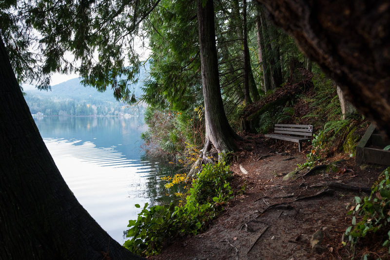 A tranquil spot to take a break along the Lakeshore Trail.