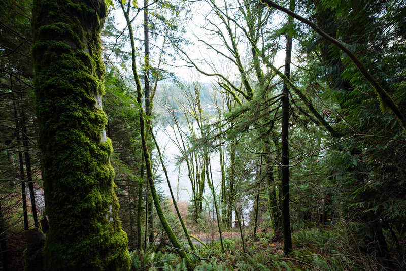 Lake Samish in the distance.