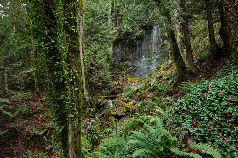 An easy to see waterfall at the end of the Hillside Trail.