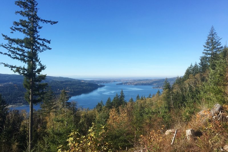 It takes some work to get there, but the view from the Chantrelle Lookout is grand.