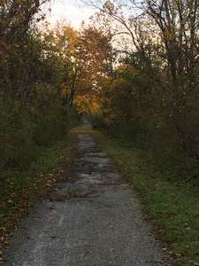 NCR Trail looking north back to Paper Mill Road from trail entrance.
