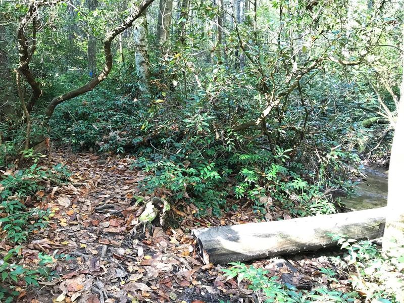 Connection with Tom Miller Trail straight ahead which starts to climb or continue on Jones Gap Trail turning right on log bridge crossing. Last easy water access for couple of miles if doing multi-day hike heading up toward Raven Cliff Falls.