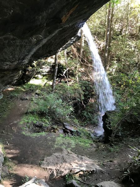 You can stay dry walking under and behind the 40 foot high Moonshine Falls which is rare.