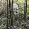 Seen descending Pinnacle Pass Trail, a water fall across Oil Camp Creek, which later we walk across the slippery top of I believe or becomes part of it as the trail continues.