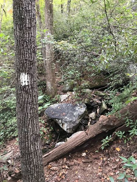 Sections of Pinnacle Pass Trail will require a little climbing, not all spots as comfortable looking as this but some areas like this also make you pause, looking for where the trail goes when it almost feels like a dead end.