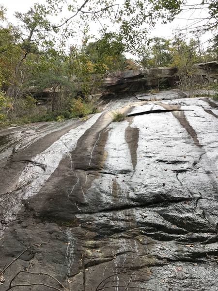 There will be a lot of slabs like this along the trail, some with a little water running down it which you'll have to work around with little paths or cross following the trail but amazing to look at.