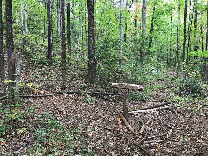 This shows trail connecting with 6 & 20 Connector which may be 1 of 2 easier ways to use getting back to Jones Gap then rest of Pinnacle Pass on the right, a little further, becomes challenging again before end / joining Rim of The Gap in about 3.5 miles.