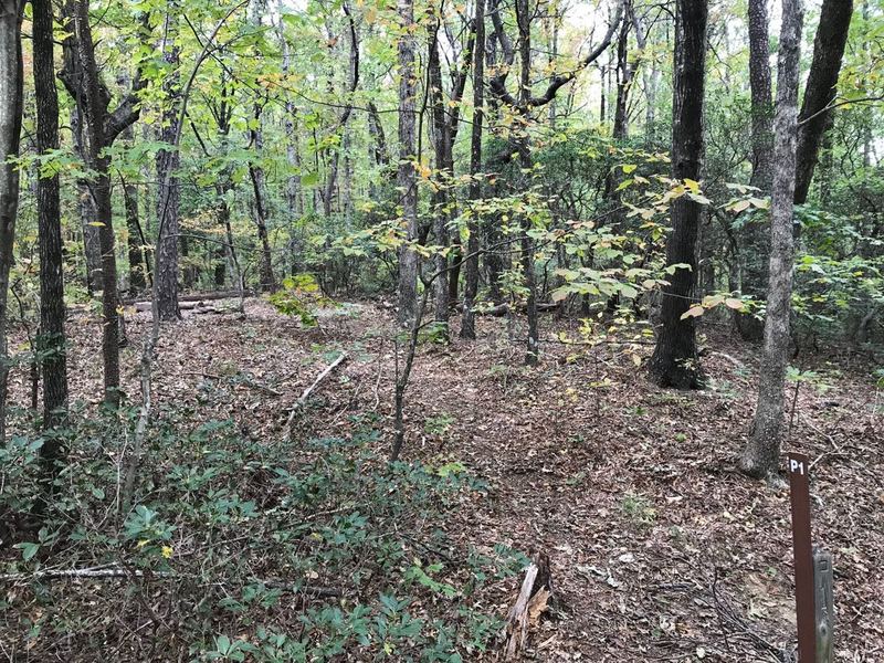 Hard to research, so here is BC site #P1, no fires, pet friendly, little view behind me is valley area, water access is more limited, small creek near / crossing before camp coming from connector trails (is in-between them), easier if gotten before camp.