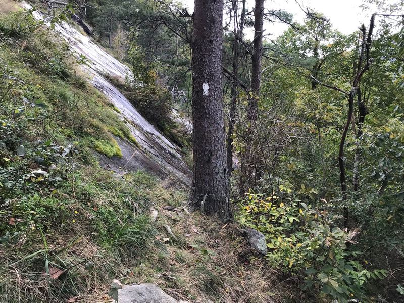 More technical slab crossings as you work your way back down Pinnacle towards Jones Gap, requires little climbing of boulders with some steep angles to avoid a long slide down. Areas like this with rain or ice can be a lot more hazardous trying to cross.