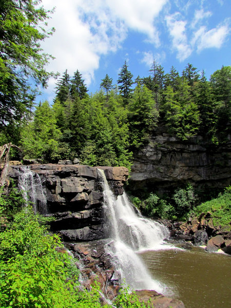 Blackwater Falls Blackwater State Park WV 8195