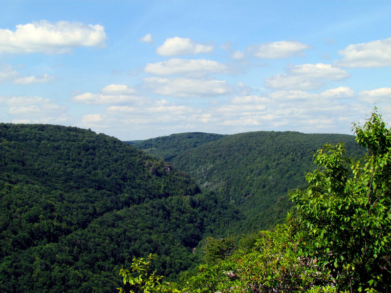 Lindy Point Blackwater State Park WV