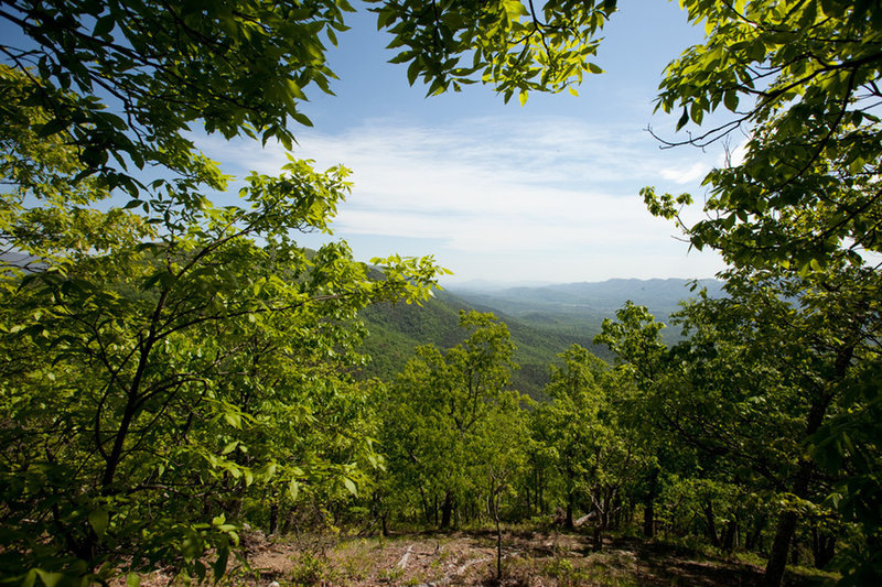 Great views to the west into George Washington National Forest