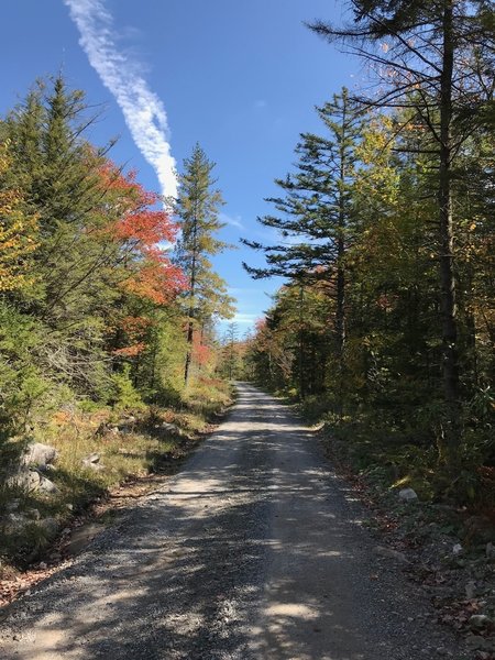 Climbing on Canaan Loop road