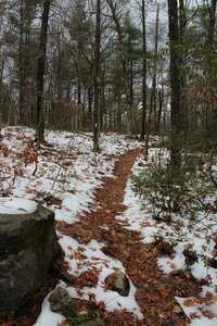 M & M Trail