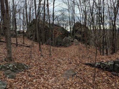 Will Warren's Den