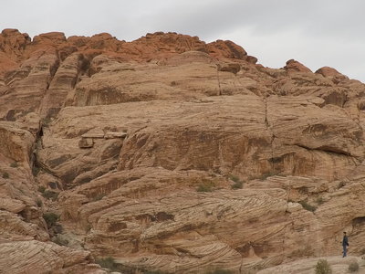 You don't realize how big this area is, until you see climbers that are smaller then your pinkey finger.