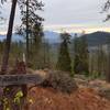 Near where the Stringer Gap Trail meets the Bolt Mountain Trail.