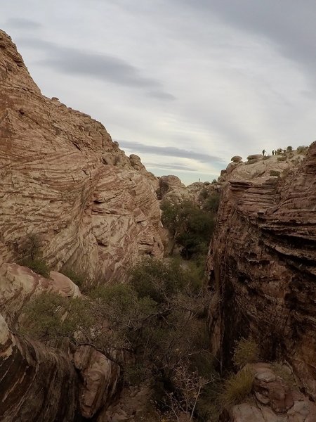 One of the many canyons that can be found in the Calico Hills.