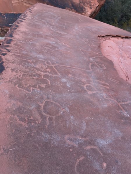 Petroglyphs along the trail.