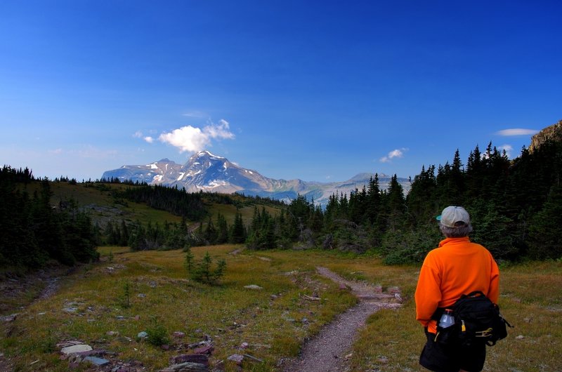 The view west from Swiftcurrent Pass