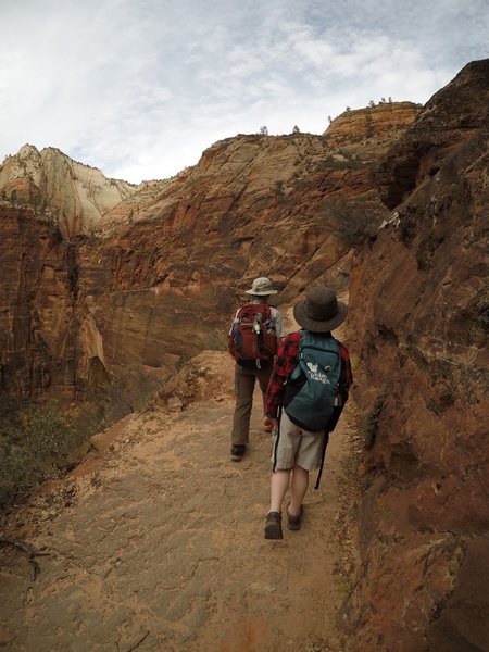 My little bros hiking up to Observation Point.