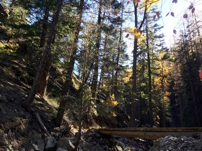 North Fork