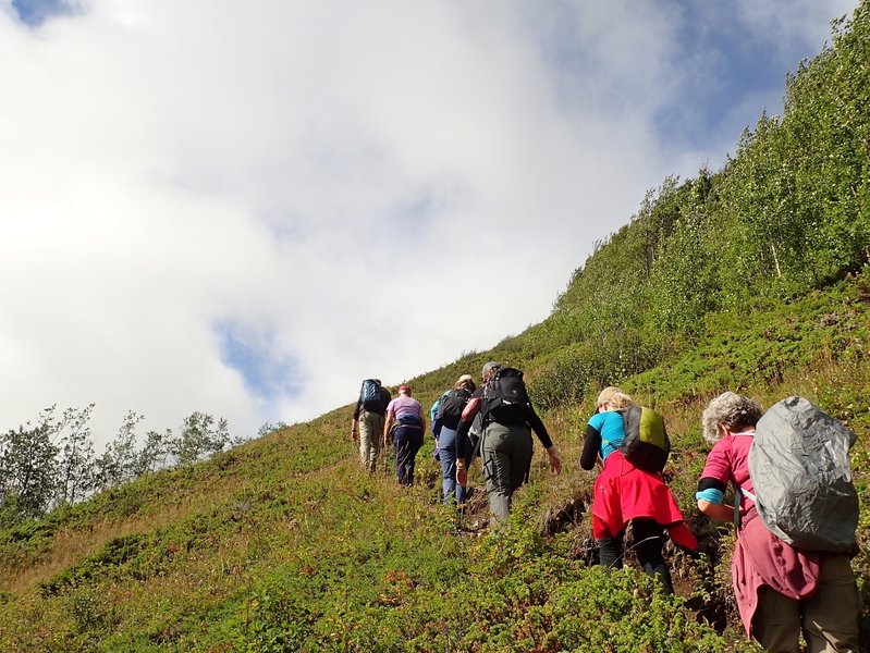 Climbing the slope above the aspen forest