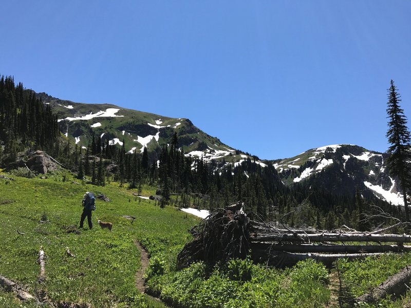 Meadows close to Frosty Pass