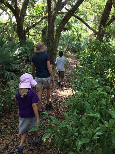 Palm Hammock Trail